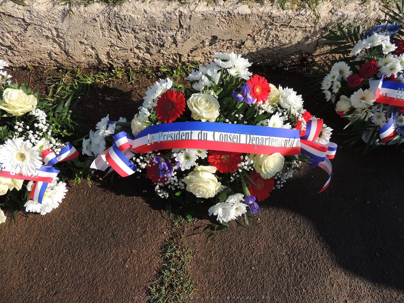 2019 09 11 TOULON 102EME ANNIVERSAIRE DE LA DISPARITION DE GEORGES GUYNEMER (14).JPG -           